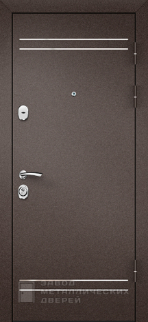 Фото «Дверь с терморазрывом №61» в Раменскому