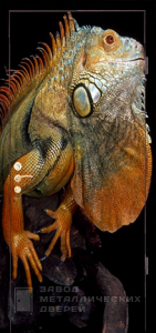 Фото «Дверь с фотопечатью №7» в Туле