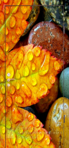 Фото «Дверь с фотопечатью №9» в Туле