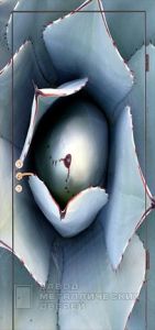 Фото «Дверь с фотопечатью №3» в Туле