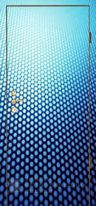 Фото «Дверь с фотопечатью №10» в Туле