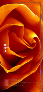 Фото «Дверь с фотопечатью №11» в Туле